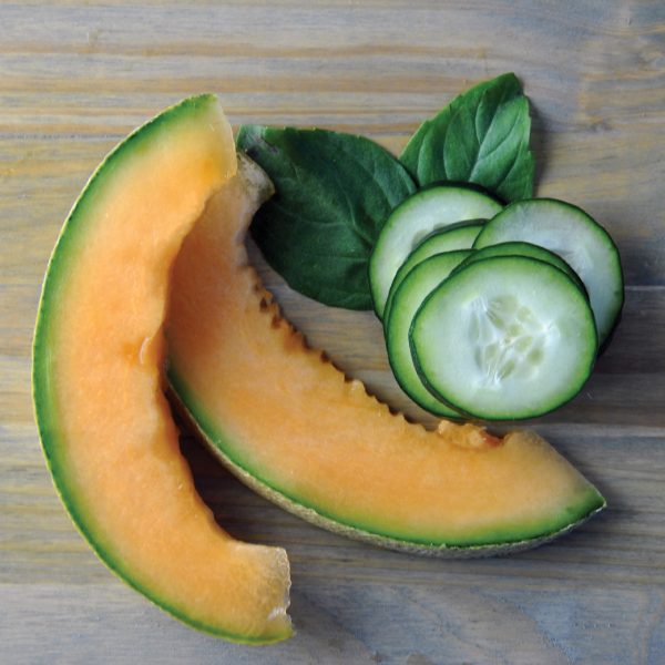 Cucumber Melon (inspired by BBW®)