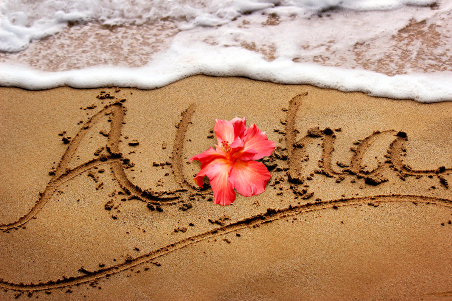 Aloha Paradise
