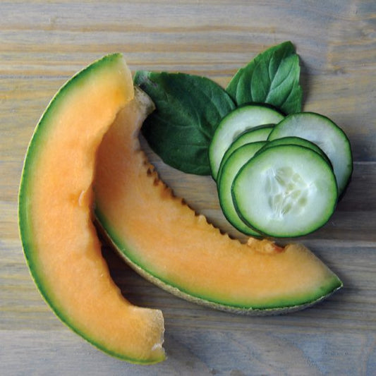 Cucumber Melon (inspired by BBW®)
