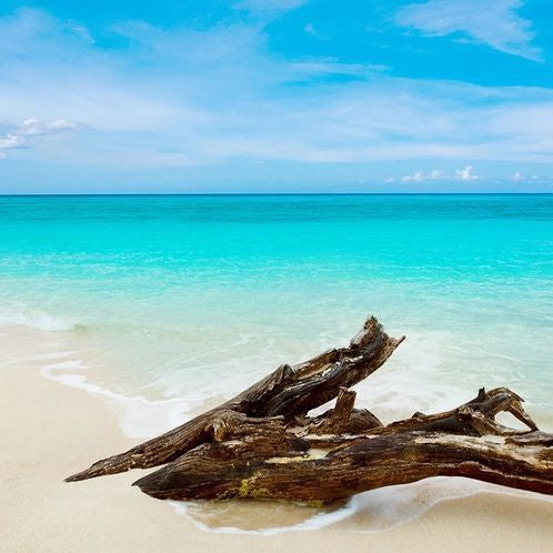 Caribbean TeakWood