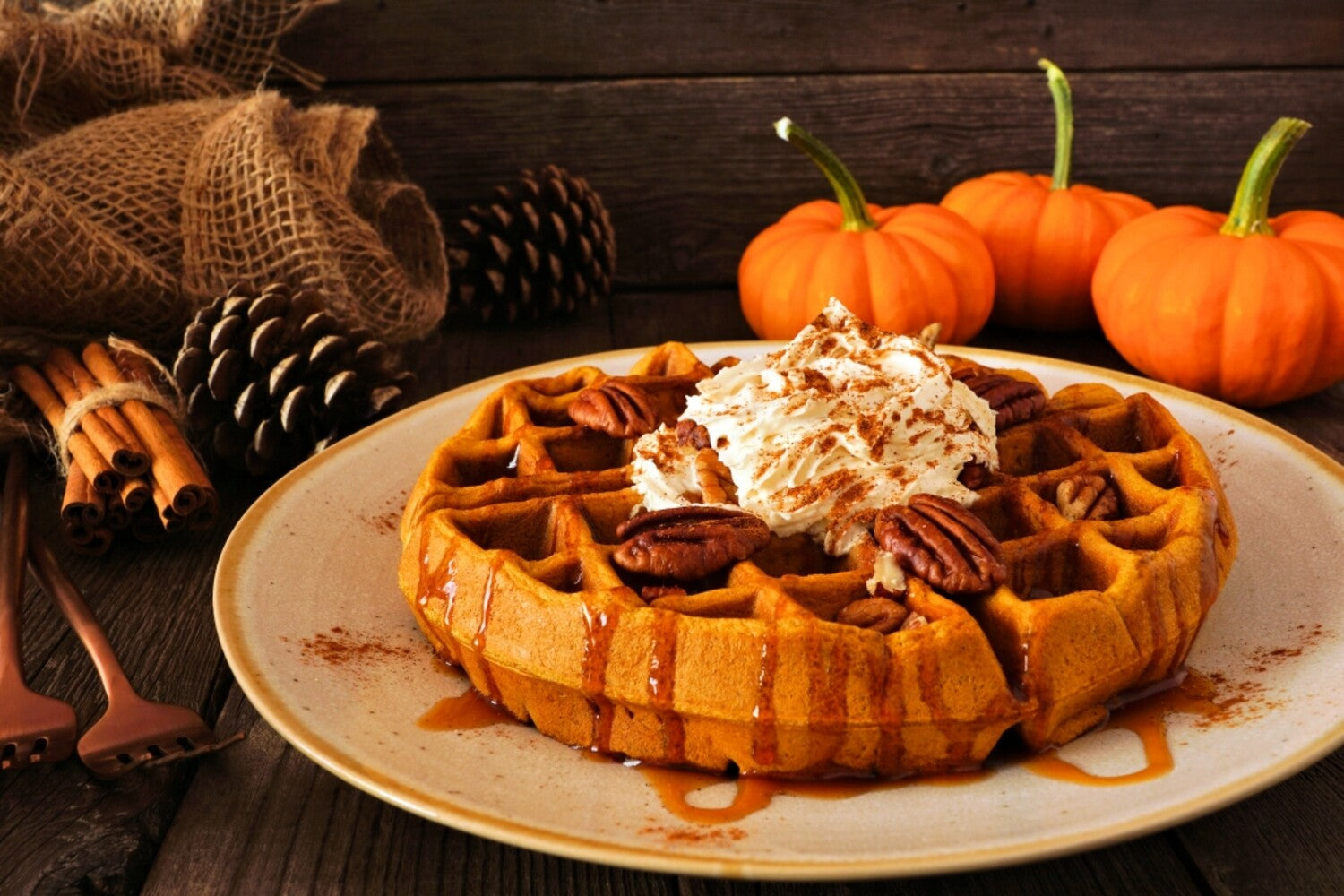 ✨️NWT B&BW PUMPKIN PECAN WAFFLES on sale BUNDLE✨️