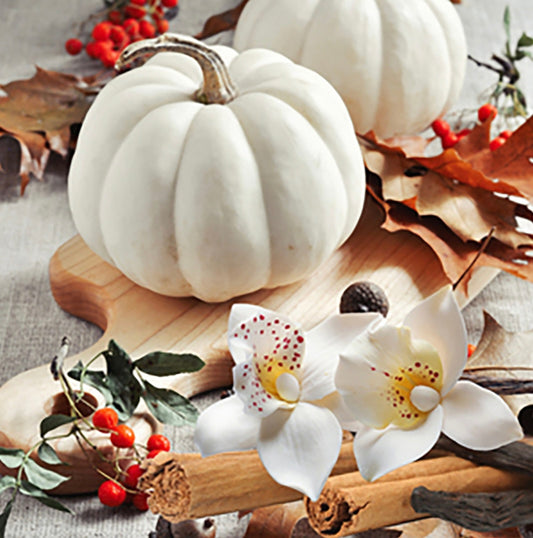 White Pumpkin