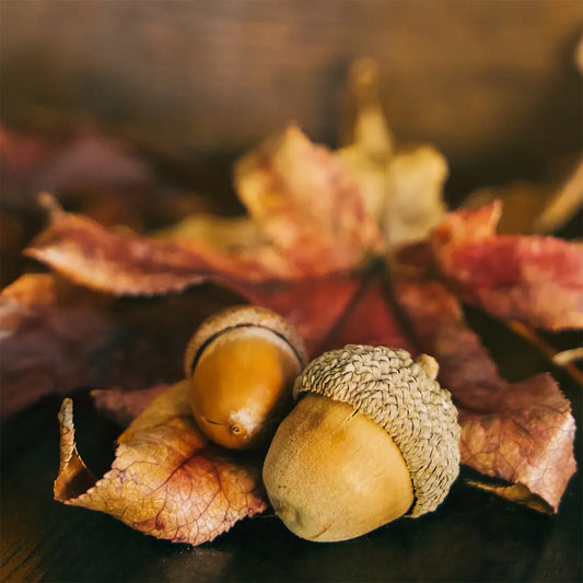 Maple Leaf & Acorn