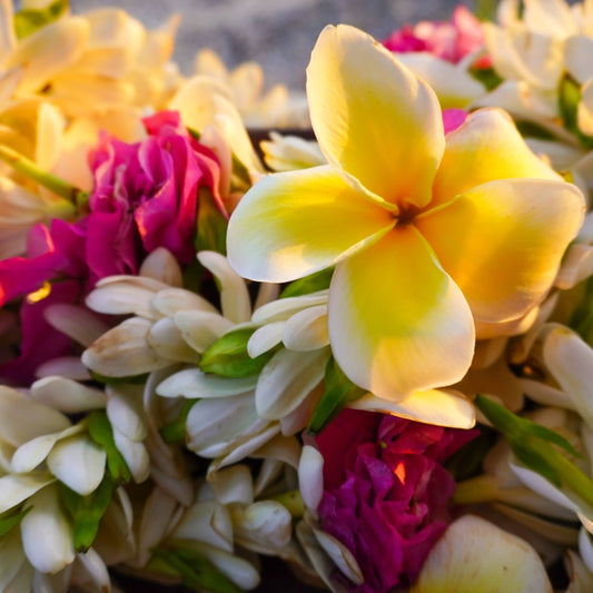 Aloha Vanilla (inspired by BBW®)