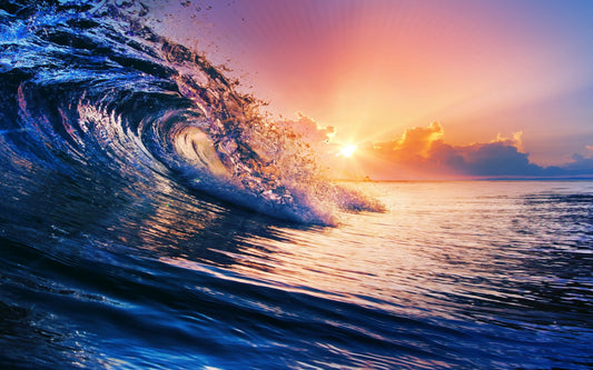 Coral Wave