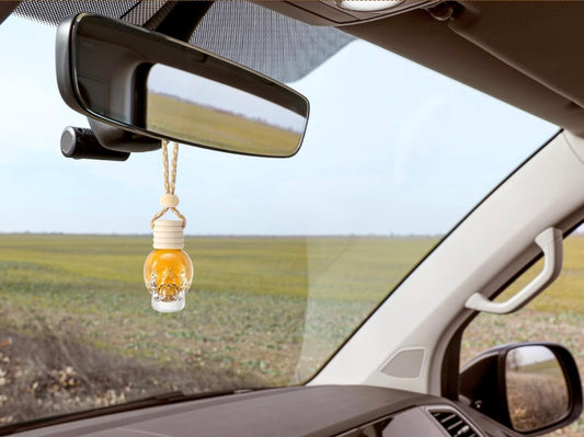 Skull 10ml Car Diffuser