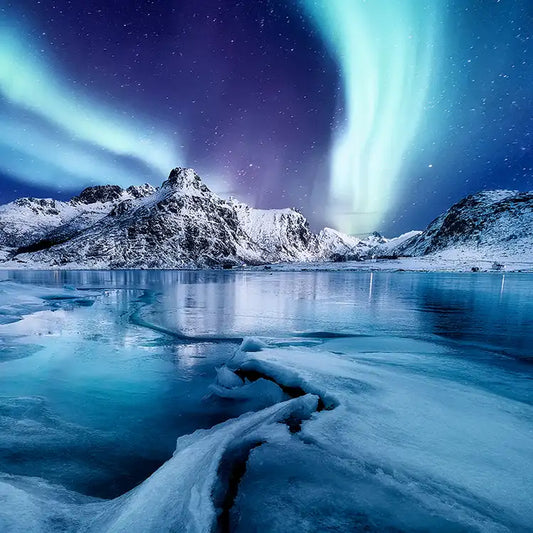 Nordic Nights