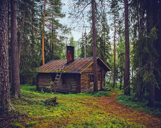 Woodland Hideaway