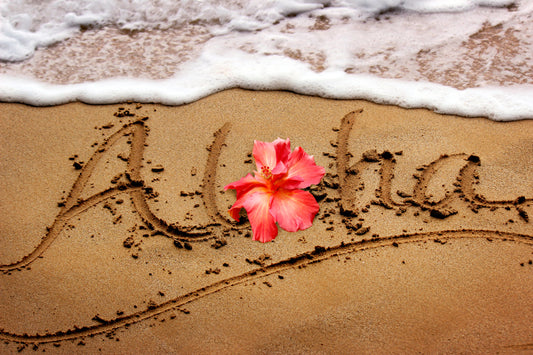 Aloha Paradise