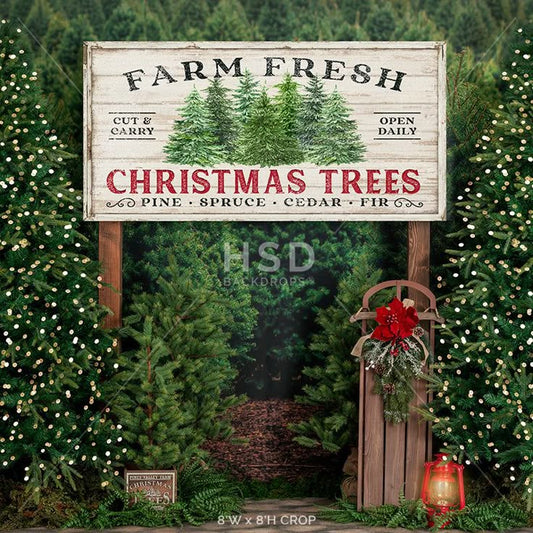 Christmas Tree Farm